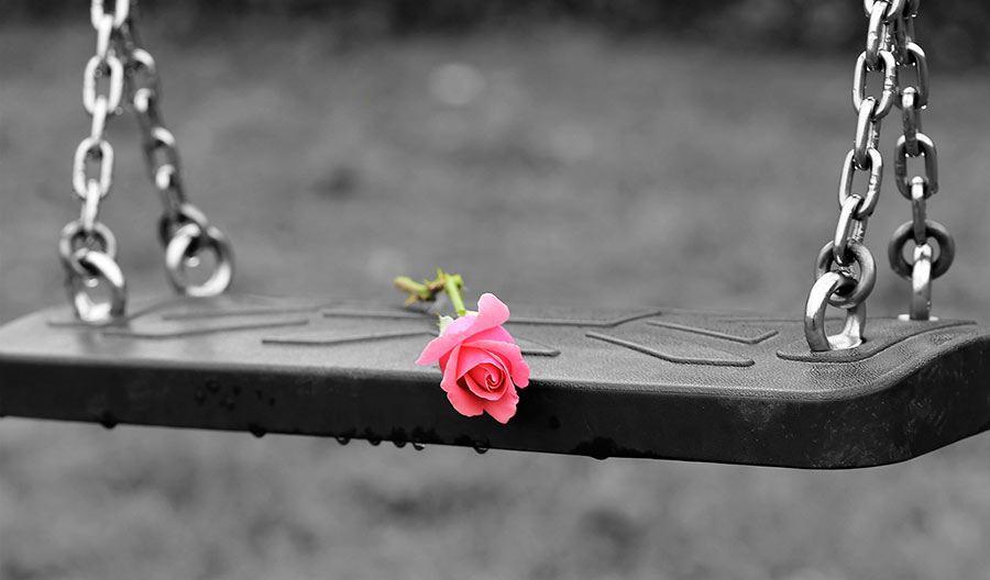 Pink rose on empty swing